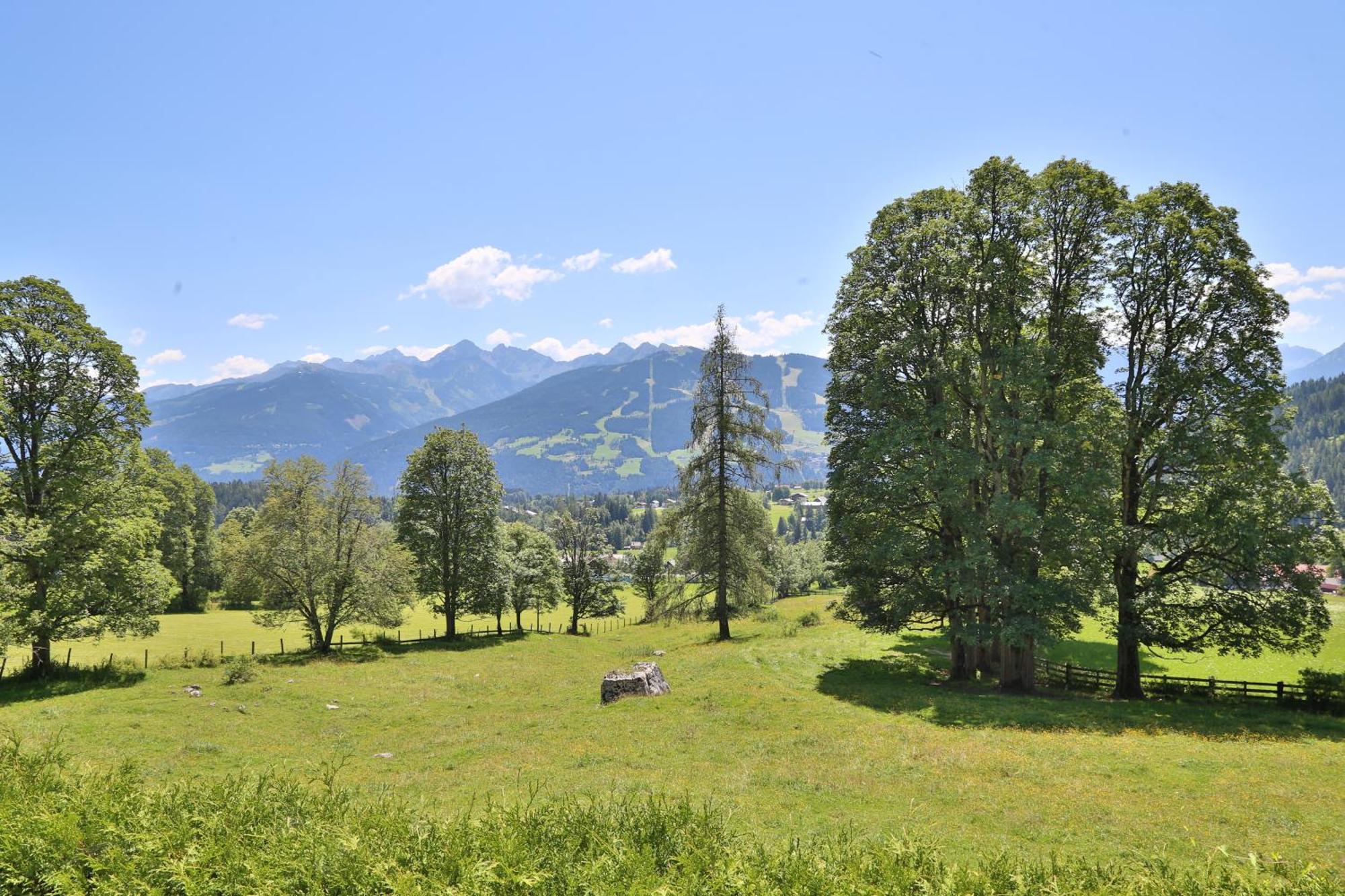 Pension Sonnwendhof รัมเซา อัม ดาคชไตน์ ภายนอก รูปภาพ